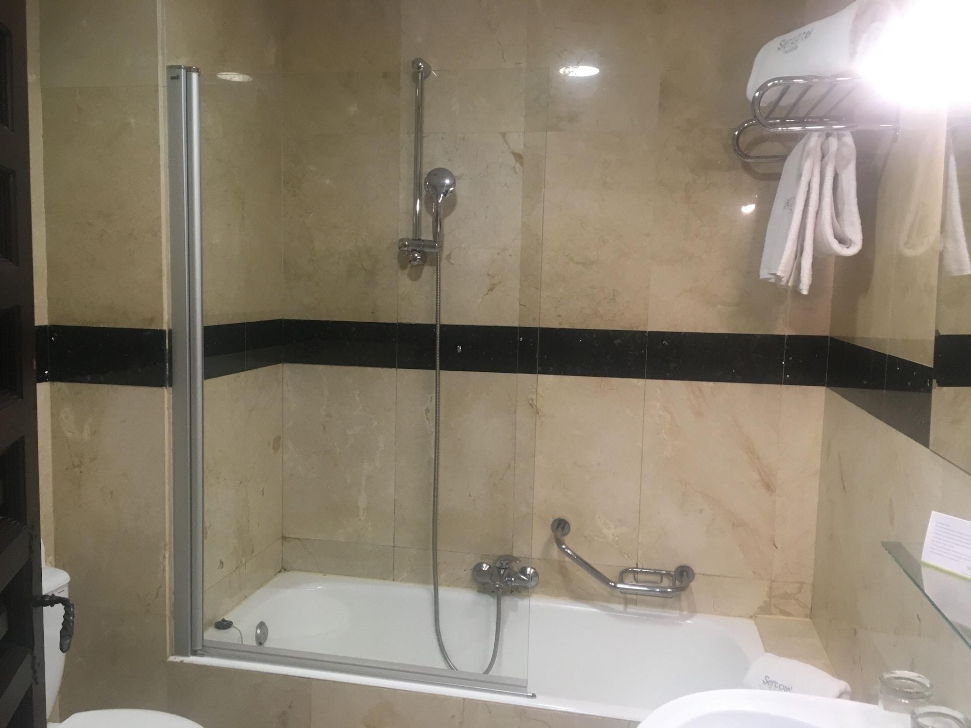 Sercotel Alfonso Vi 4* Toledo