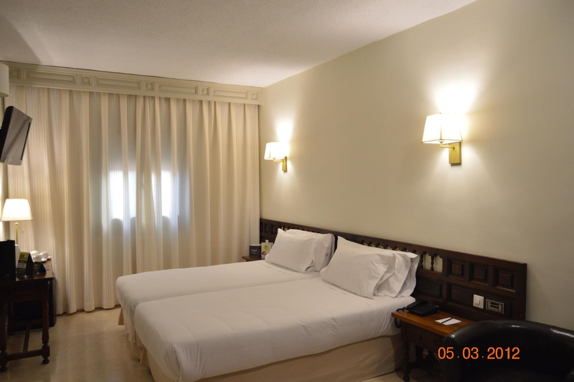 Sercotel Alfonso Vi Hotel Toledo